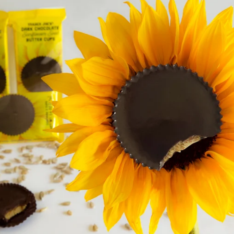 Traders Joe's  Dark Chocolate Sunflower Seed Butter Cups
