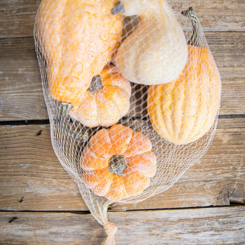 6 Piece Pumpkins & Gourds with Mesh Bag