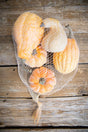 6 Piece Pumpkins & Gourds with Mesh Bag