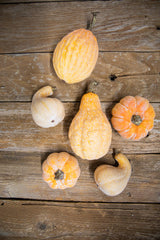 6 Piece Pumpkins & Gourds with Mesh Bag