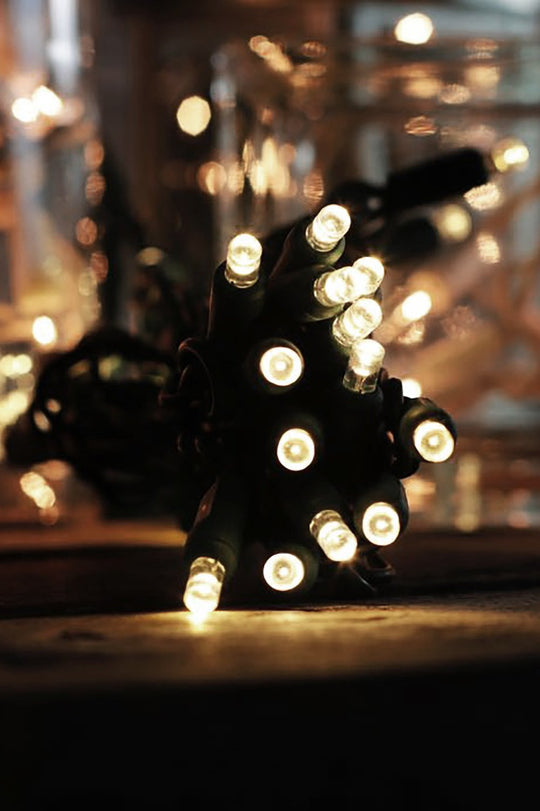 100 LED Waterproof Multifunction String Light with Green Wire Plug in