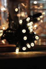 100 LED Waterproof Multifunction String Light with Green Wire Plug in