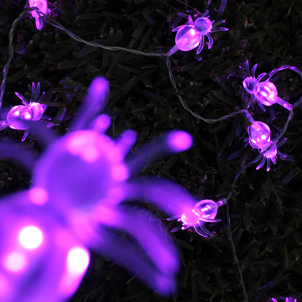 10 LED String Light Spider – Battery Operated, White/Purple