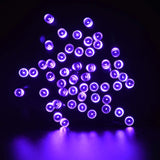 30 LED String Light – Battery Operated, Black Wire, Purple