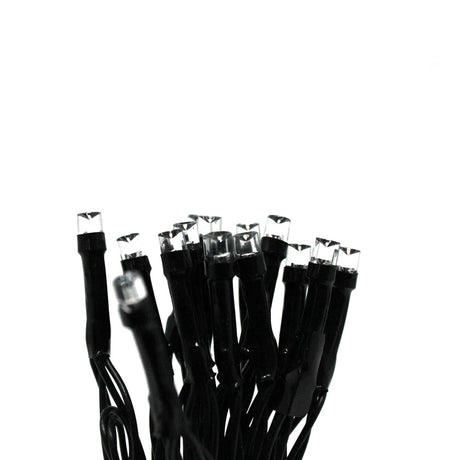 30 LED String Light – Battery Operated, Black Wire, Purple