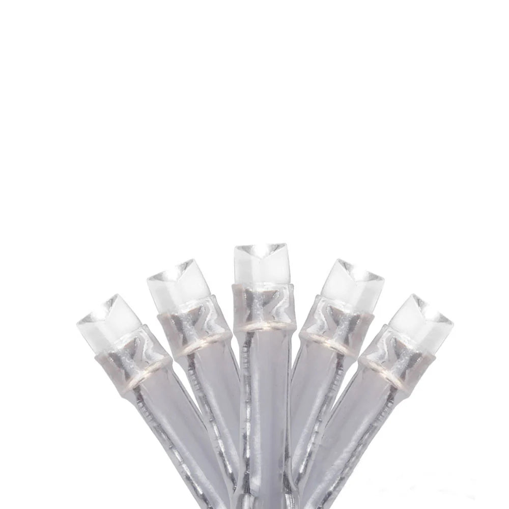 Halloween Glow 12pcs PDQ 48 LED Warm White Curtain Light