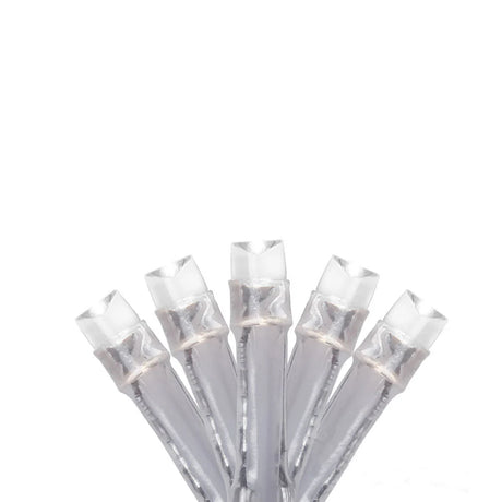 Halloween Glow 12pcs PDQ 48 LED Warm White Curtain Light