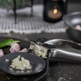 Kuhn Rikon Stainless Steel Epicurean Garlic Press