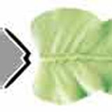 SS Decor Leaf Decorating Tip #70