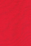 Nylon Mesh Stretch Fabric