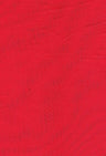 Nylon Mesh Stretch Fabric