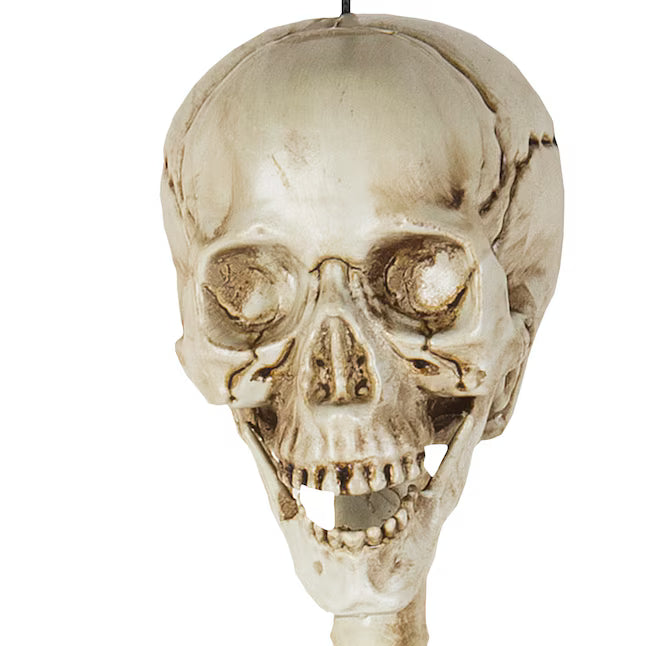 Haunted Living 3-ft Hanging Skeleton Halloween Decoration Spooky Prop