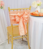 Crushed Taffeta Chair Sashes Apricot Peach 9.5x108