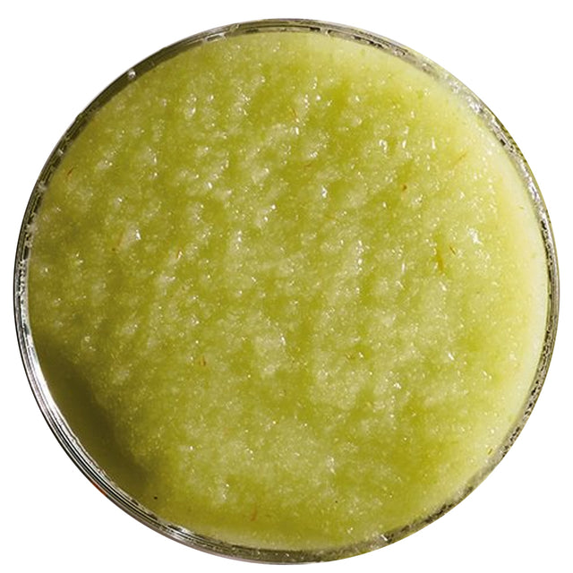 Boiron Green Apple Puree, 2.2 lbs.