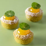 Boiron Kumquat Puree, 2.2 lbs.