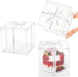 10x10x10 Inch Clear Cake Box Transparent White Tall Layer with clear lid