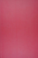Mesh Knit Fabric 58/60" Wide – 80 GSM