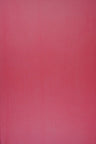 Mesh Stretch Solid Fabric