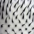 Black White Two Tone Spiked Shaggy Long Pile Fur Fabric,