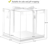 12x12x10 Inch Clear Cake Box Transparent White Tall Layer with clear lid