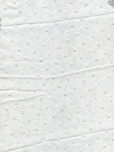 Swiss Dot Chiffon Fabric