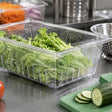 Winco Clear Polycarbonate Colander, 8" Deep