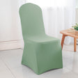 Spandex Chair Cover Sage Green