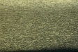 Barcelona Green Hunter Soft Chenille Upholstery Fabric - Hunter Green, Solid, 56" Width (1 Yard)