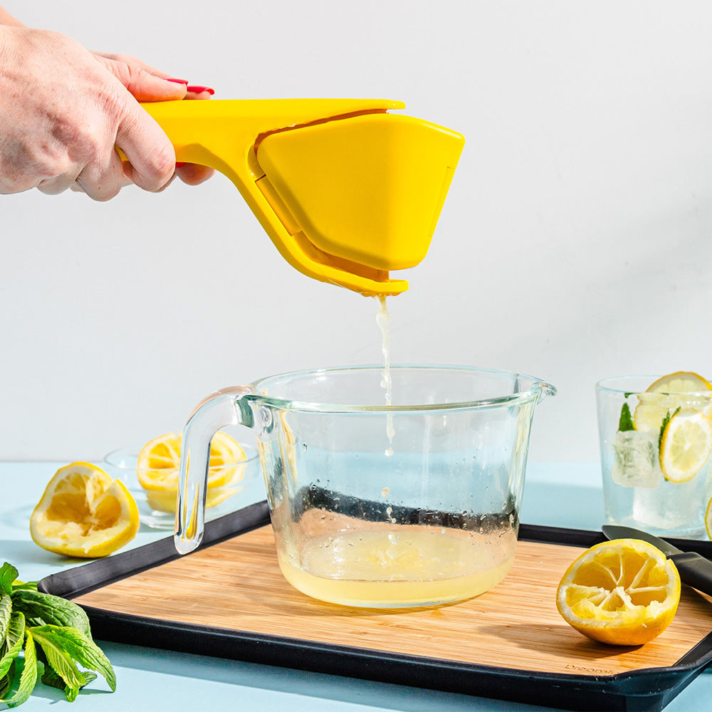 Dreamfarm Fluicer Juicer Fold Flat Citrus Juicer