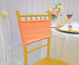 Spandex Chair Bands Apricot/Peach