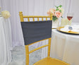 Spandex Chair Bands Sample