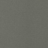 Sunbrella 54048-0000 Solution-Dyed Acrylic Fabric - Charcoal Gray Solid, 54" Width (1 Yard)