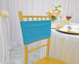 Spandex Chair Band Sample