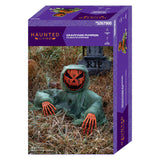 Haunted Living 13-in Freestanding Pumpkin Reaper Figurine Halloween Decoration