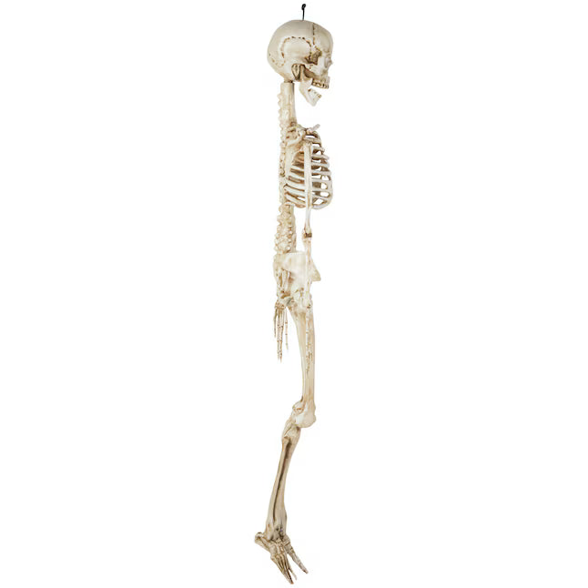 Haunted Living 5-ft Hanging Skeleton with Lit Eyes Halloween Decoration