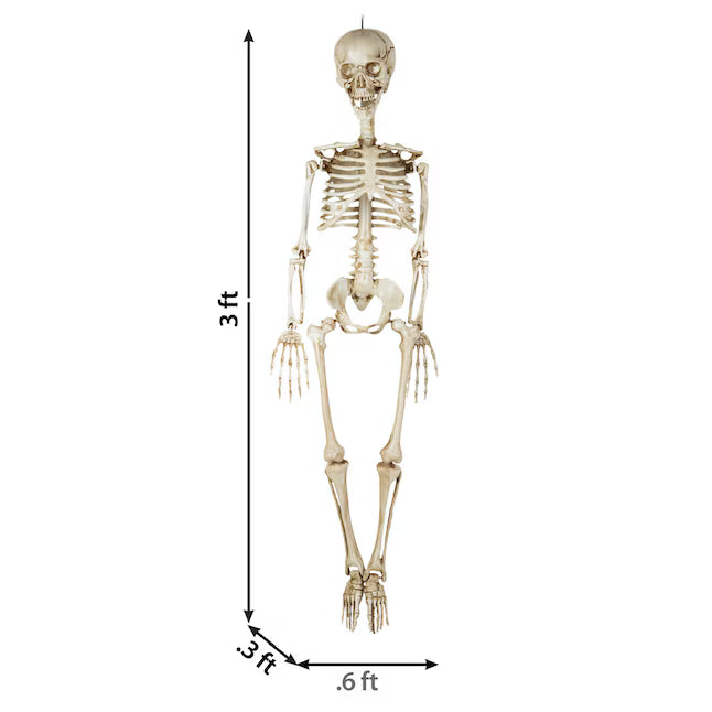 Haunted Living 3-ft Hanging Skeleton Halloween Decoration Spooky Prop