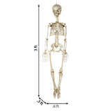Haunted Living 3-ft Hanging Skeleton Halloween Decoration Spooky Prop