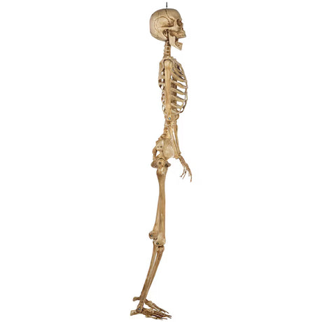 5-ft Hanging Skeleton with Lit Eyes