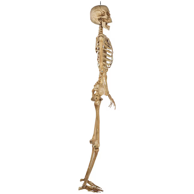 Haunted Living 5-ft Hanging Skeleton with Lit Eyes Halloween Decoration