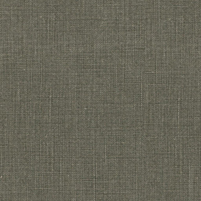 Vintage Marsh Linen Fabric - Vintage Green, Solid Texture, 54" Width (1 Yard)
