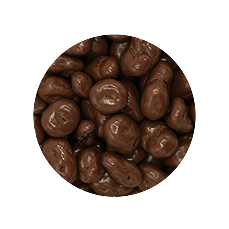 Bulk Foods - Chocolate Covered Raisins - Bulk Bin 2008 (25 pounds)