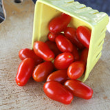Tomato Marzito F1 Seed