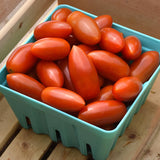 Tomato Marzito F1 Seed