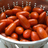 Tomato Marzito F1 Seed