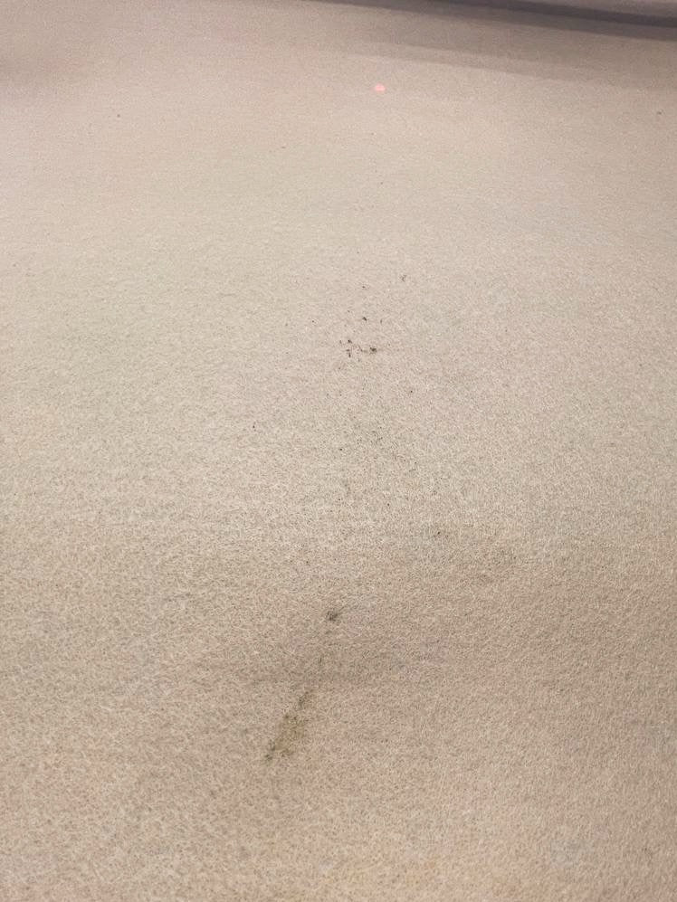 Beige Viscose Polyamide Fabric