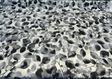 Waverly Silva Nightfall Cotton Twill Fabric - Gray Watercolor Leaf Pattern, 54" Width (1 Yard)