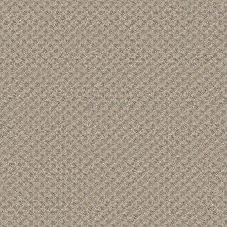 Sunbrella Dot Oyster 3D Acrylic Fabric - Oyster, 61" Width (1 Yard)