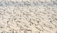 Sunbrella Marble Frost Sunbrella Acrylic Fabric - Frost Marble Pattern, 54" Width (1 Yard)
