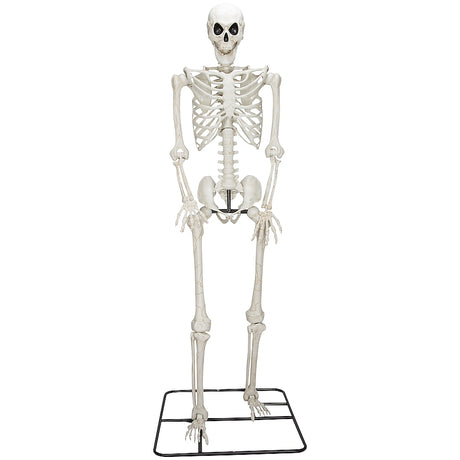 Haunted Living 10ft Poseable Skeleton Decoration Best For Halloween Decoration