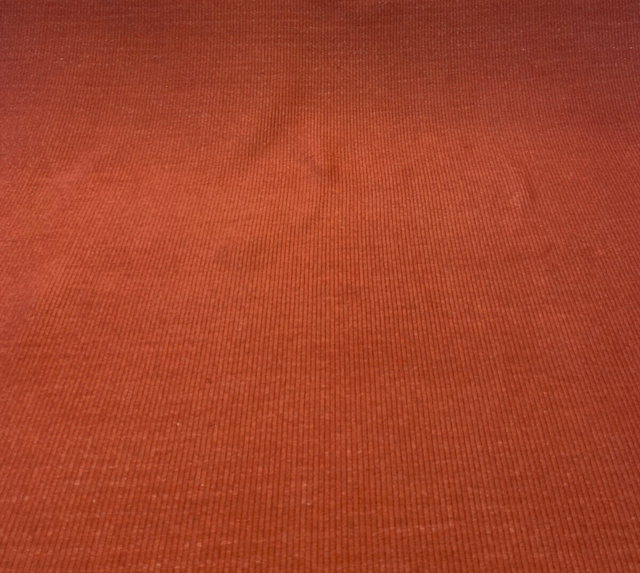 Sunbrella Acrylic Fabric - Red Brick Thin Stripes, 54" Width (1 Yard)